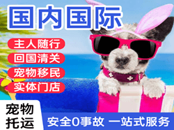 上海航空货运国际宠物托运 【国